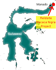 location in north sulawesi